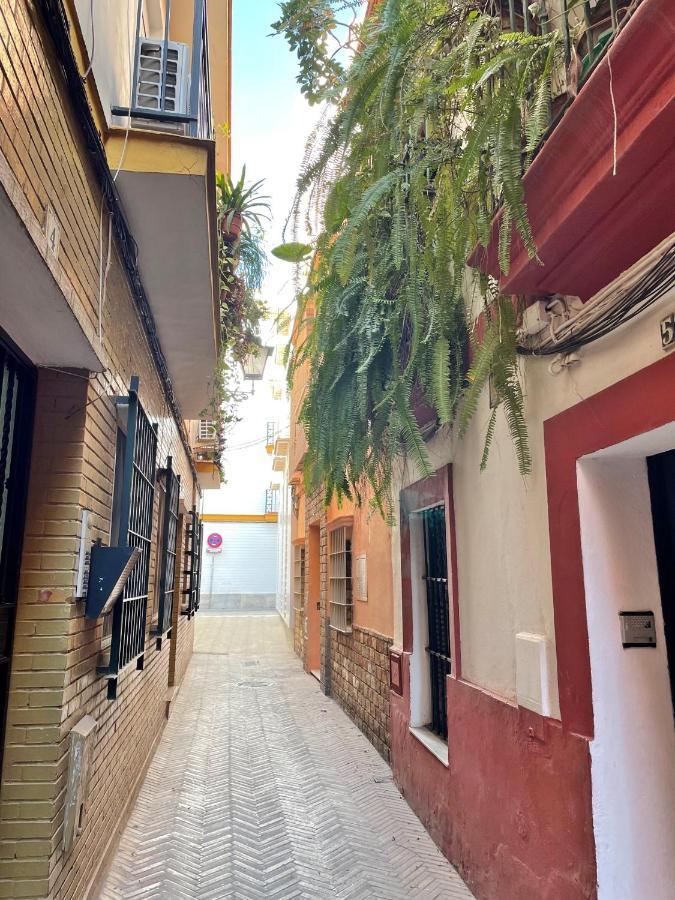 세비야 Barrio De Santa Cruz, La Juderia. Zona Inmejorable 아파트 외부 사진